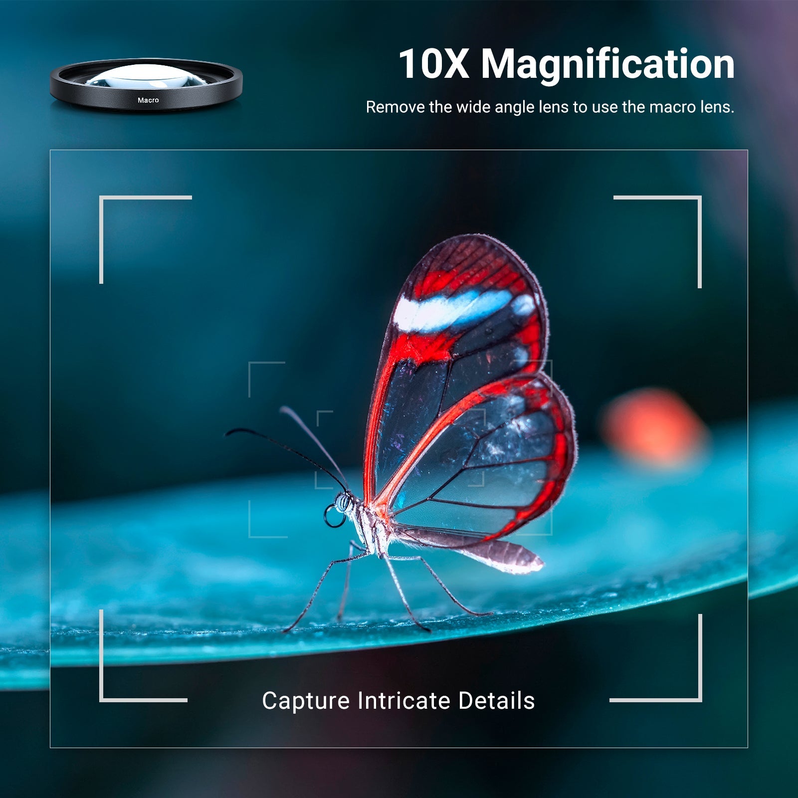 NEEWER macro lens helps capture intricate details.